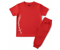 Mola Ali (A.S.) Zulfiqar T Shirt & Trouser | Summer Tracksuit